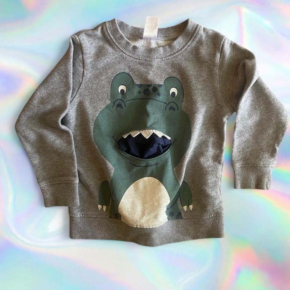 Carter's Gray Sweatshirt with Green Dinosaur Design